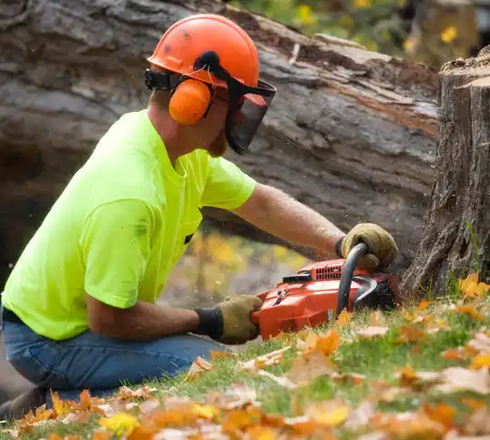 tree services Creve Coeur